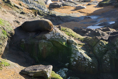 High angle view of sea on rock formation