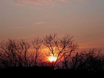 Silhouette bare tree against sky during sunset