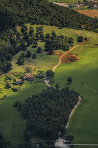 High angle view of trees on field