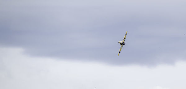 Low angle view of airplane flying in sky