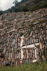 Plants growing on old stone wall