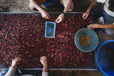 Low section of workers cleaning raw coffee beans