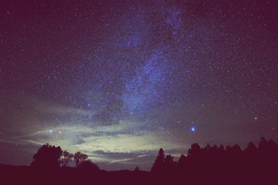 Low angle view of silhouette trees against star field