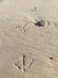 High angle view of footprints on beach