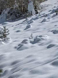 Scenic view of snow covered field