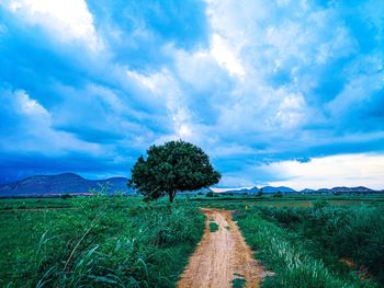 Scenic view of land against sky