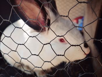 Close-up of chainlink fence against sky