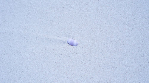 High angle view of ball on sand