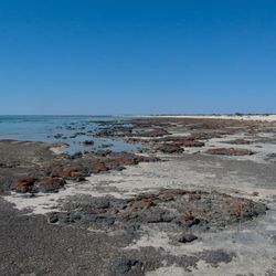 Scenic view of sea against clear sky