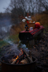 Bonfire on wooden log