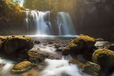 Scenic view of waterfall in forest