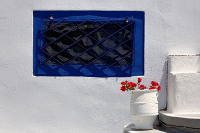 Flower pots on window of building