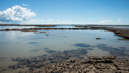 Scenic view of beach against sky