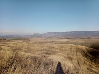 Scenic view of landscape against clear sky