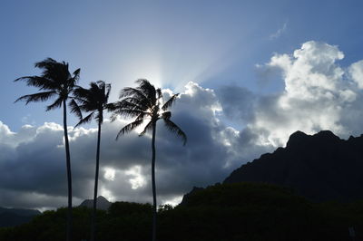 Low angle view of silhouette trees against sky