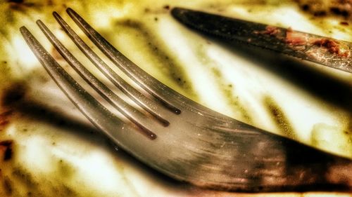 Close-up of food on table