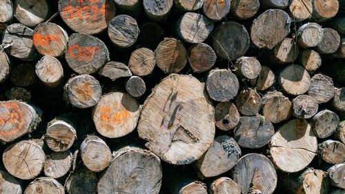 Close up on a large pile of stacked logs