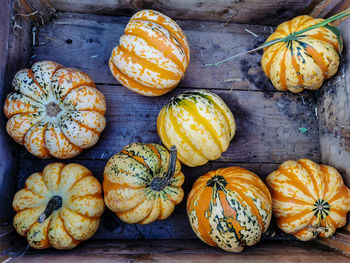 High angle view of pumpkins on table