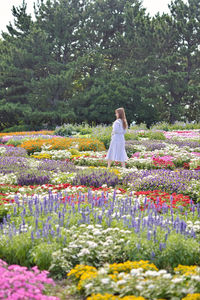 Woman standing on field by flowering plants