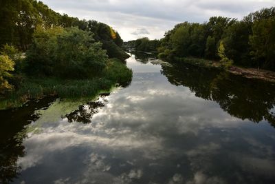 Scenic view of lake in forest against sky