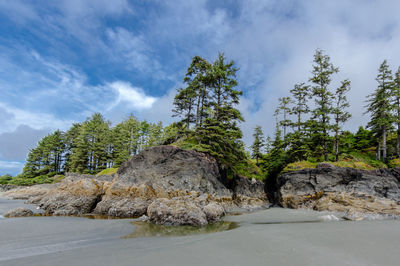 Rock formation amidst trees against sky