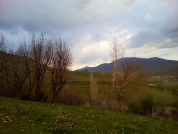 Scenic view of landscape against sky