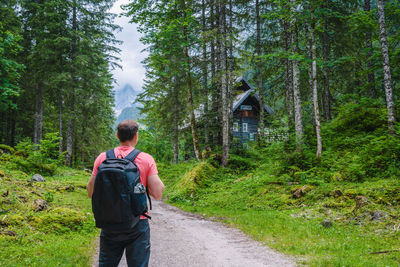 Rear view of man walking in forest