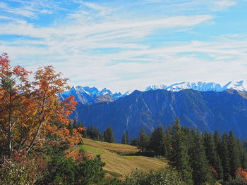 Scenic view of forest against sky during autumn