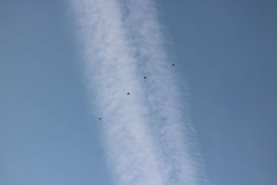 Low angle view of birds flying in sky