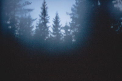 Scenic view of forest against sky at night