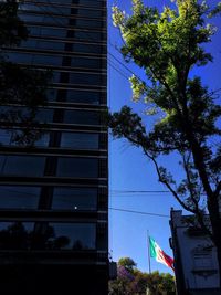 Low angle view of trees against sky