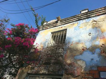 Low angle view of building