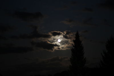 Low angle view of silhouette trees against sky at night