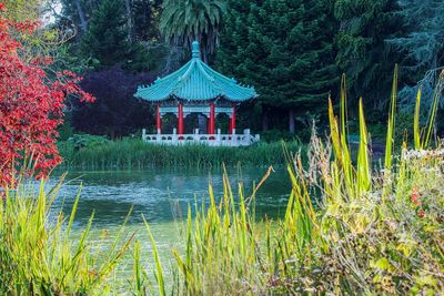 Scenic view of pond