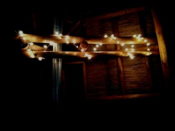 Close-up of cat hanging on wood at night