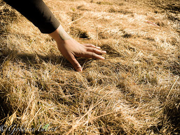 Close-up of hand touching loved ones grave