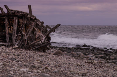 Driftwood on beach against cloudy sky