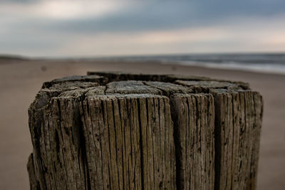 Close-up of wooden posts on beach