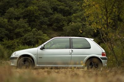 Car on road amidst trees on field