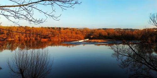Reflection of bare trees in lake against sky