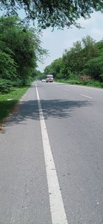 Surface level of road by trees in city