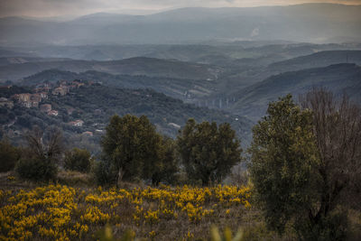 Scenic view of landscape and mountains
