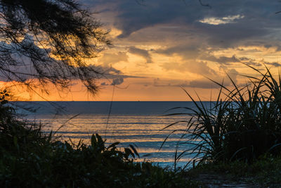 Tropical sunset from koh rong island, cambodia