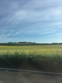 Scenic view of field against sky