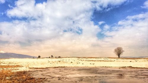 Scenic view of beach against sky