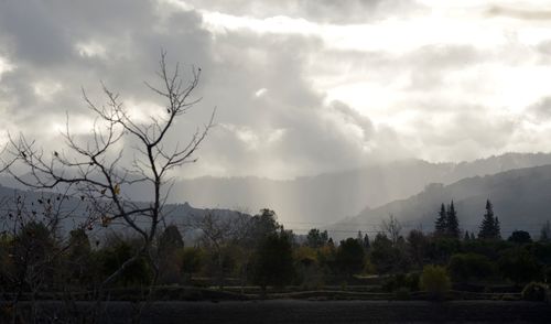 Scenic view of landscape against cloudy sky