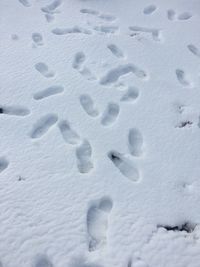 High angle view of footprints on snow covered field
