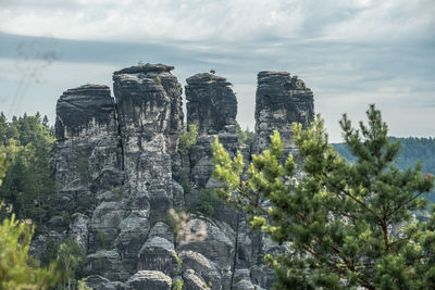 Trees on cliff against sky