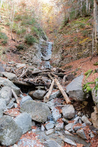 High angle view of stream amidst rocks in forest