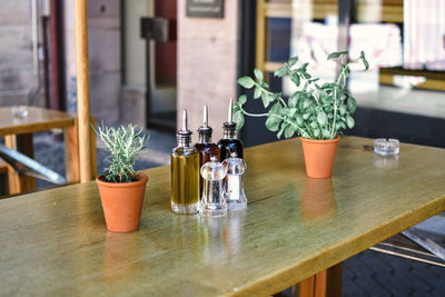 Potted plant on table at restaurant